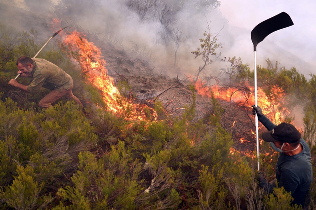 Vì sao 2025 là một trong 3 năm nóng nhất lịch sử dù có La Nina?- Ảnh 1. Vì sao 2025 là một trong 3 năm nóng nhất lịch sử dù có La Nina?- Ảnh 1.