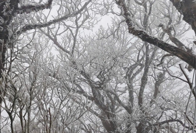 Vì sao 2025 là một trong 3 năm nóng nhất lịch sử dù có La Nina?- Ảnh 2. Vì sao 2025 là một trong 3 năm nóng nhất lịch sử dù có La Nina?- Ảnh 2.