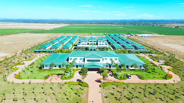 Kinh ngạc với hệ sinh th&aacute;i n&ocirc;ng nghiệp của tỉ ph&uacute; Trần B&aacute; Dương- Ảnh 5.