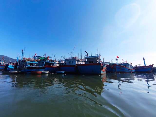 Cận Tết, ngư d&acirc;n Đ&agrave; Nẵng vẫn chần chừ ra khơi v&igrave;&hellip; m&aacute;y VX- Ảnh 4.