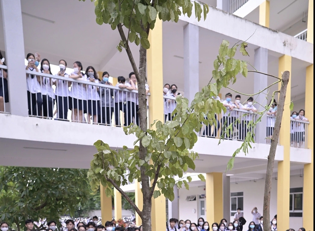 Trường học TP.HCM: Nơi qu&aacute; tải, xuống cấp, nơi tuyển kh&ocirc;ng đủ chỉ ti&ecirc;u - Ảnh 5.