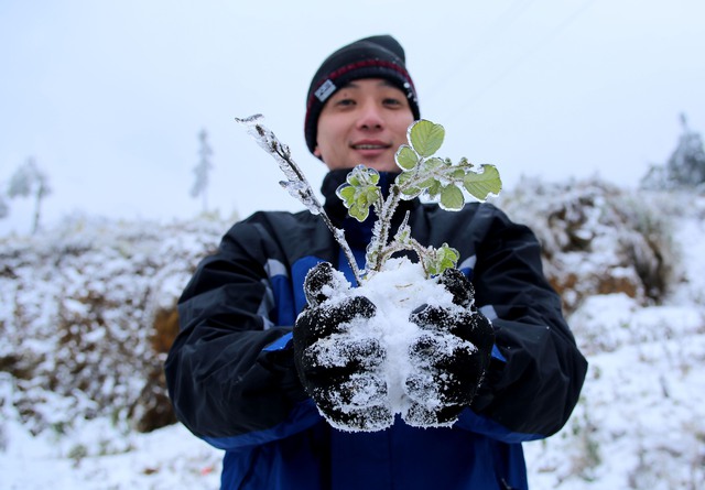 La Nina sắp kết th&uacute;c, miền Bắc c&oacute; thể xuất hiện mưa tuyết trong th&aacute;ng 2 - Ảnh 1.