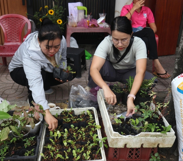 Đi chợ c&acirc;y độc lạ: Đủ loại c&acirc;y gi&aacute; chỉ v&agrave;i ng&agrave;n đồng- Ảnh 1.