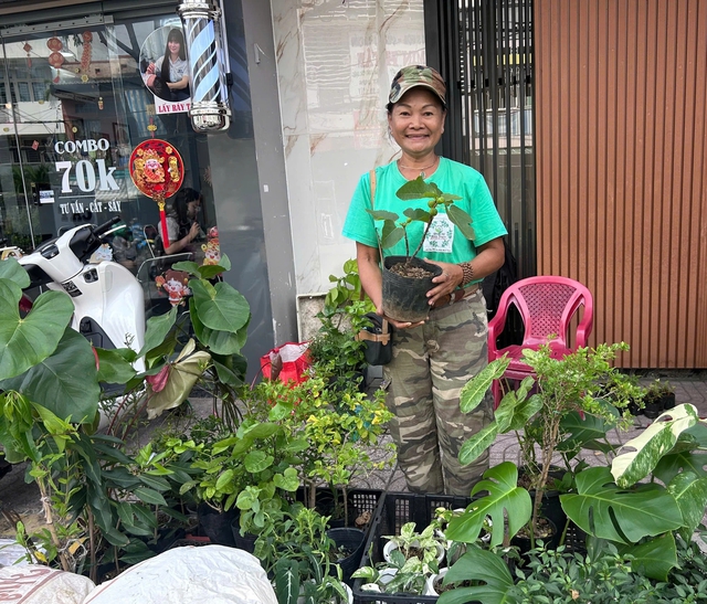 Đi chợ c&acirc;y độc lạ: Đủ loại c&acirc;y gi&aacute; chỉ v&agrave;i ng&agrave;n đồng- Ảnh 2.