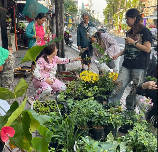 Đi chợ c&acirc;y độc lạ: Đủ loại c&acirc;y gi&aacute; chỉ v&agrave;i ng&agrave;n đồng- Ảnh 8.