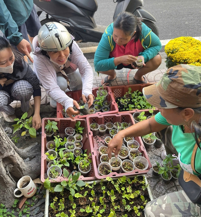 Đi chợ c&acirc;y độc lạ: Đủ loại c&acirc;y gi&aacute; chỉ v&agrave;i ng&agrave;n đồng- Ảnh 9.