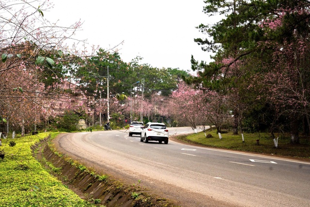 Bộ X&acirc;y dựng ra thời hạn khởi c&ocirc;ng cao tốc Quảng Ng&atilde;i - Kon Tum- Ảnh 1.