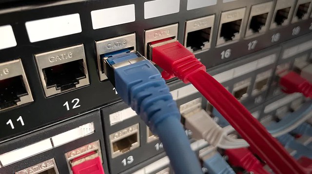 Tại sao lại c&oacute; c&aacute;p Ethernet dạng dẹt v&agrave; dạng tr&ograve;n? - Ảnh 1.