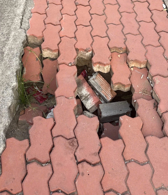 Người d&acirc;n dọc Trần Xu&acirc;n Soạn lo sụt l&uacute;n giống bờ k&egrave; k&ecirc;nh T&agrave;u Hủ  - Ảnh 2.