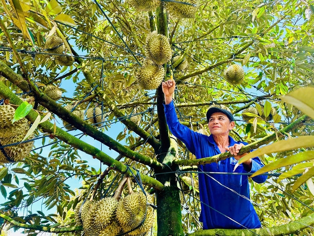 Xuất khẩu chinh phục mục ti&ecirc;u 500 tỉ USD- Ảnh 1.