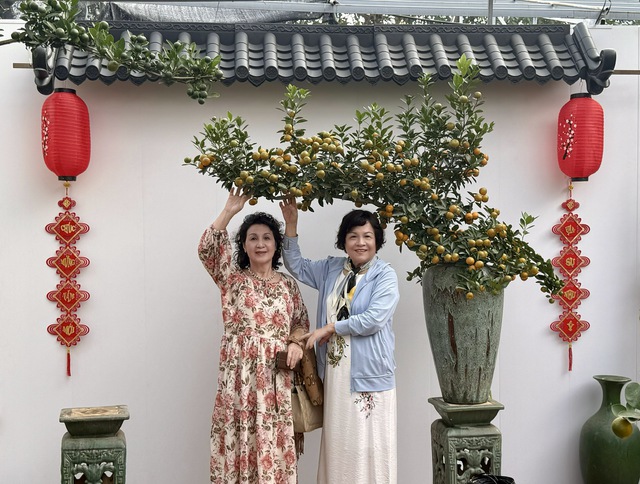 Chậu bưởi Diễn chơi tết được rao gi&aacute; 288 triệu đồng- Ảnh 5.