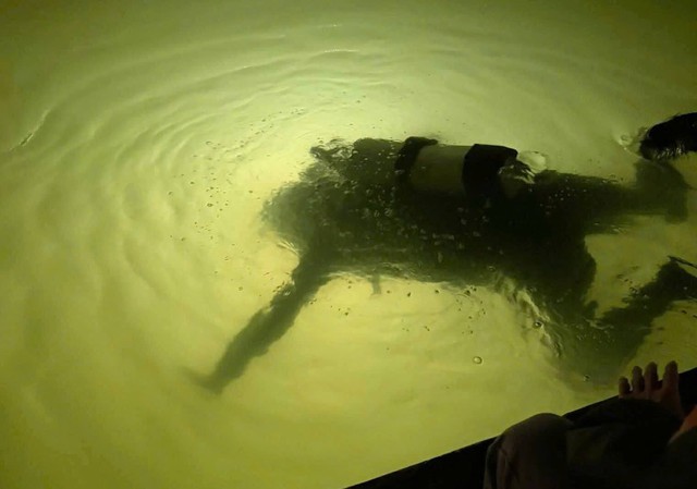 X&ocirc;n xao tin lặn s&ocirc;ng Hương t&igrave;m 2 c&acirc;y v&agrave;ng trong đ&ecirc;m: C&ocirc;ng an đang x&aacute;c minh- Ảnh 1.