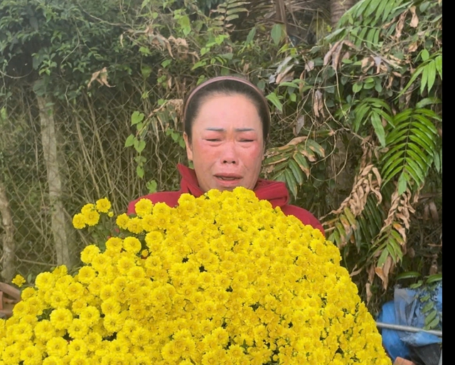 Những clip 'triệu view' giúp giải cứu hoa cúc mâm xôi nở sớm trước tết - Ảnh 2.