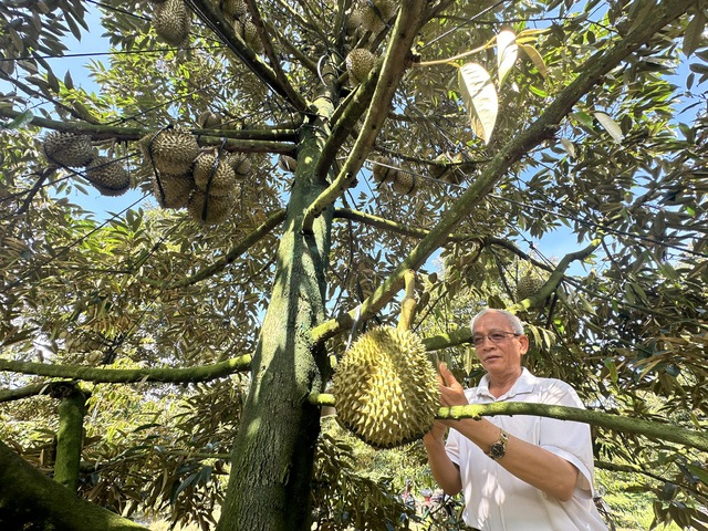 - Ảnh 1. - Ảnh 1.