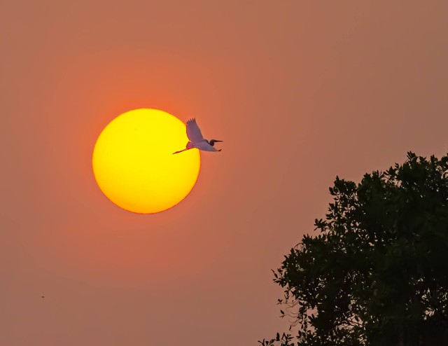 Bão mặt trời cực mạnh 3 ngày liền tấn công: Hôm nay 23.1 tình hình thế nào? - Ảnh 2.