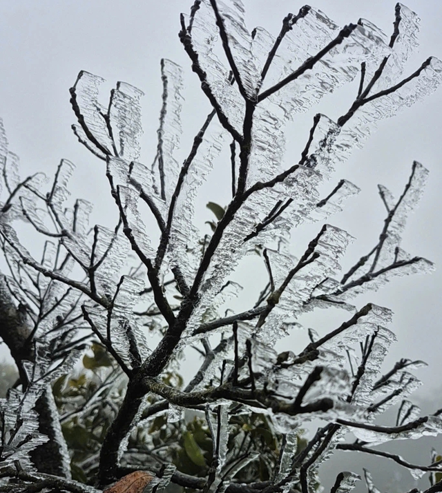 Băng giá Mẫu Sơn đẹp long lanh, khách du lịch ùn ùn lên đỉnh check-in - Ảnh 1.