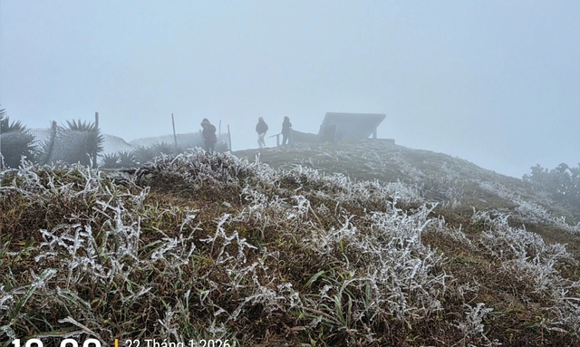 Băng giá Mẫu Sơn đẹp long lanh, khách du lịch ùn ùn lên đỉnh check-in - Ảnh 3.