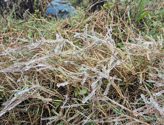 Băng giá Mẫu Sơn đẹp long lanh, khách du lịch ùn ùn lên đỉnh check-in - Ảnh 5.