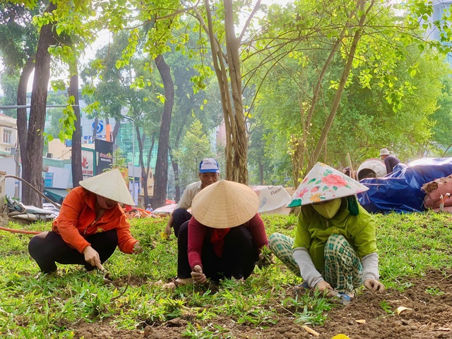 Chỉ c&ograve;n 2 ng&agrave;y nữa, TP.HCM sẽ c&oacute; th&ecirc;m một c&ocirc;ng vi&ecirc;n phục vụ người d&acirc;n- Ảnh 3.