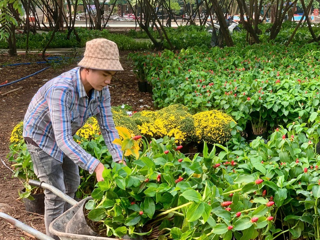 Chỉ c&ograve;n 2 ng&agrave;y nữa, TP.HCM sẽ c&oacute; th&ecirc;m một c&ocirc;ng vi&ecirc;n phục vụ người d&acirc;n- Ảnh 4.