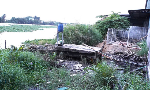 Nước thải đen ngòm xả thẳng ra sông Vàm Cỏ Tây , ô nhiễm môi trường nghiêm trọng - Ảnh 3. Nước thải đen ngòm xả thẳng ra sông Vàm Cỏ Tây , ô nhiễm môi trường nghiêm trọng - Ảnh 3.