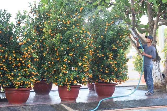 Đưa h&agrave;ng Tết ra đảo L&yacute; Sơn: Kh&ocirc;ng để thiếu hụt nguồn h&agrave;ng phục vụ người d&acirc;n- Ảnh 3.