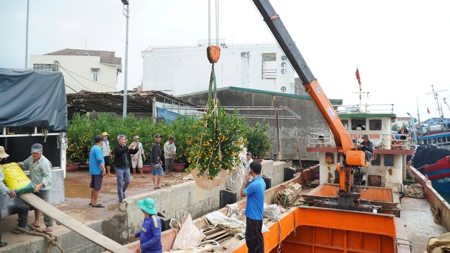 Đưa h&agrave;ng Tết ra đảo L&yacute; Sơn: Kh&ocirc;ng để thiếu hụt nguồn h&agrave;ng phục vụ người d&acirc;n- Ảnh 1.