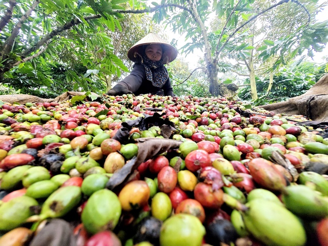Bảo đảm điện cho tăng trưởng kinh tế v&agrave; xuất khẩu n&ocirc;ng sản trong năm 2026 - Ảnh 1.