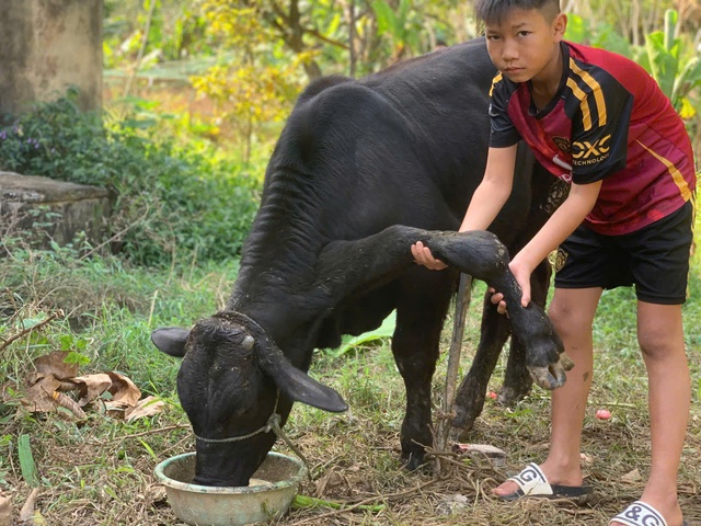 'Độc lạ' b&ograve; 6 ch&acirc;n: Kh&aacute;ch trả gấp 20 lần gi&aacute; mua ban đầu, chủ kh&ocirc;ng b&aacute;n - Ảnh 5.