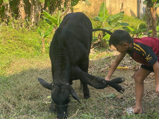 'Độc lạ' b&ograve; 6 ch&acirc;n: Kh&aacute;ch trả gấp 20 lần gi&aacute; mua ban đầu, chủ kh&ocirc;ng b&aacute;n - Ảnh 1.