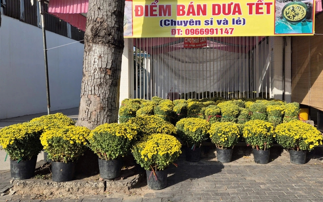 Nhiều nơi ‘cho thuê mặt bằng bán tết’, muốn thuê đừng quên những lưu ý này... - Ảnh 5.