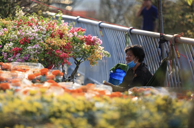 Chợ hoa tết B&igrave;nh Đ&ocirc;ng 2026: Hơn 500 gian h&agrave;ng, phố &ocirc;ng đồ c&oacute; g&igrave; đặc biệt? - Ảnh 1.