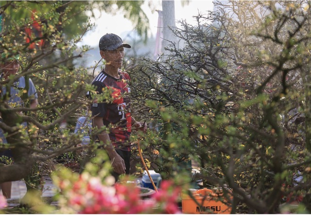 Chợ hoa tết B&igrave;nh Đ&ocirc;ng 2026: Hơn 500 gian h&agrave;ng, phố &ocirc;ng đồ c&oacute; g&igrave; đặc biệt? - Ảnh 3.