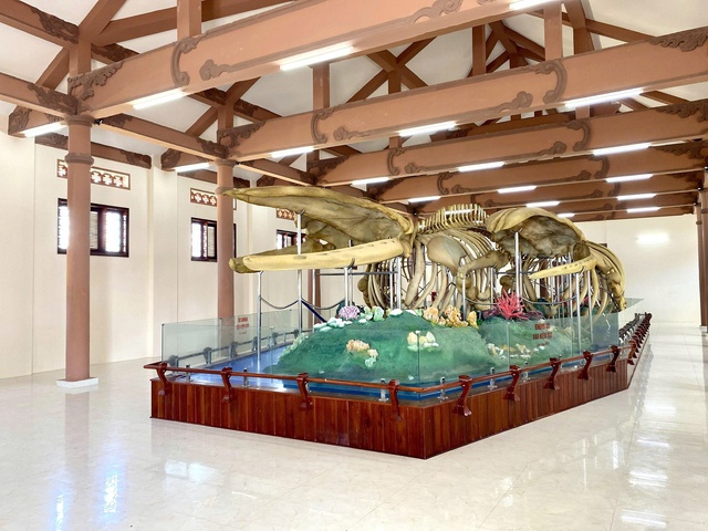 Hai bộ xương c&aacute; voi lớn nhất Việt Nam bị hư hỏng, chờ đ&aacute;nh gi&aacute; mức độ xuống cấp - Ảnh 4.