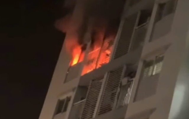 TP.HCM: Ch&aacute;y chung cư, 3 mẹ con nguy kịch- Ảnh 1.