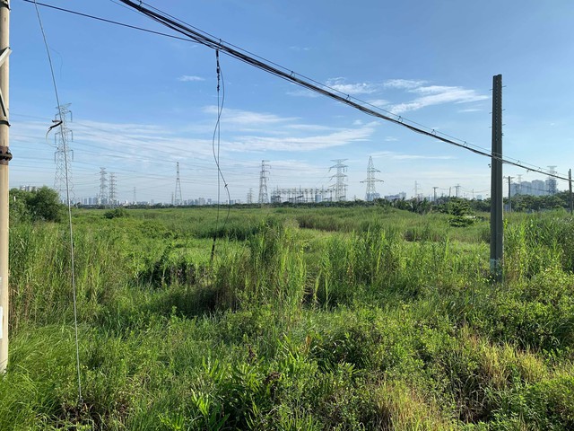 7 h&agrave;nh vi vi phạm đất đai c&oacute; thể bị khởi tố, người d&acirc;n cần nắm r&otilde;- Ảnh 2.