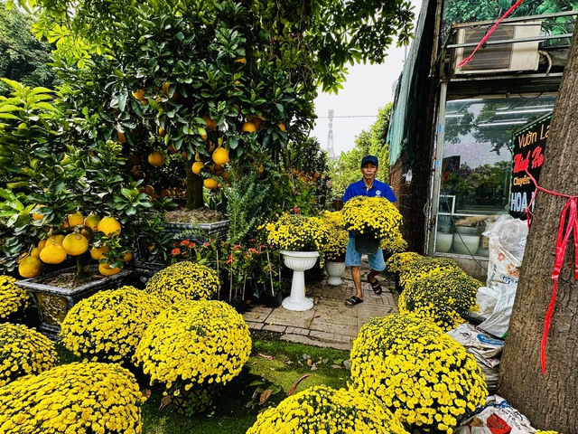 Chuyên gia thời tiết khuyến cáo đặc biệt với nhà vườn hoa tết- Ảnh 1. Chuyên gia thời tiết khuyến cáo đặc biệt với nhà vườn hoa tết- Ảnh 1.