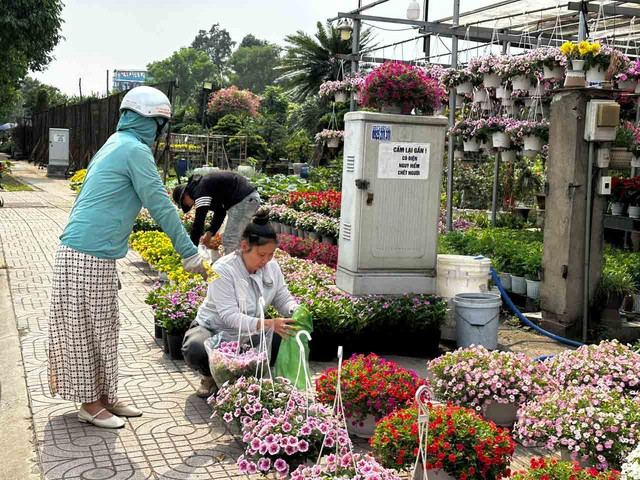 Nh&agrave; vườn hoa kiểng phập phồng v&igrave; thời tiết- Ảnh 3.