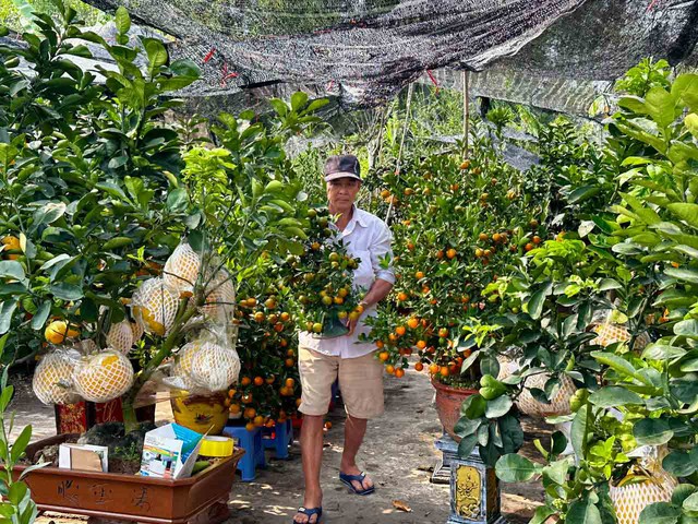 Nh&agrave; vườn hoa kiểng phập phồng v&igrave; thời tiết- Ảnh 1.