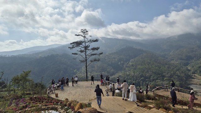 Đi du lịch dịp tết với người lạ: Nên hay không?- Ảnh 1. Đi du lịch dịp tết với người lạ: Nên hay không?- Ảnh 1.