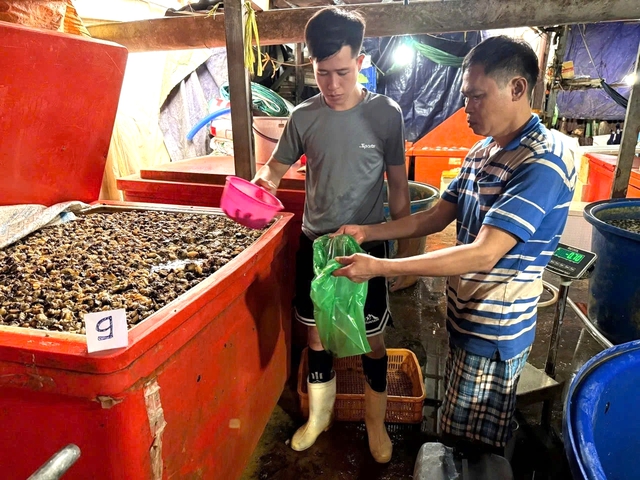 Ng&acirc;m ốc bươu bằng thủy tinh lỏng: Độc cỡ n&agrave;o?- Ảnh 1.