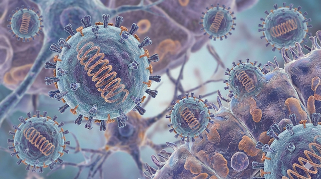 Virus Nipah: Nhanh trở nặng, dễ nhầm với cảm cúm hoặc sốt siêu vi - Ảnh 1.