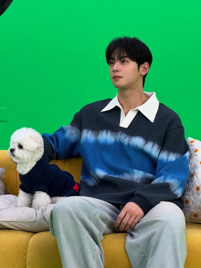 - Ảnh 2. - Ảnh 2.