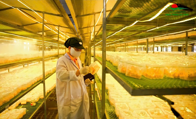 Đông trùng hạ thảo DalaNewfarm: Tất cả vì sức khỏe cộng đồng - Ảnh 3.