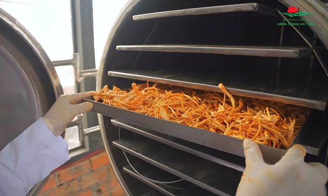 Đông trùng hạ thảo DalaNewfarm: Tất cả vì sức khỏe cộng đồng - Ảnh 5.