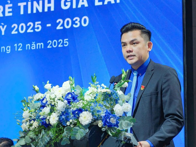 Hội Doanh nhân trẻ tỉnh Gia Lai: Cầu nối hợp nhất không gian phát triển mới- Ảnh 2. Hội Doanh nhân trẻ tỉnh Gia Lai: Cầu nối hợp nhất không gian phát triển mới- Ảnh 2.