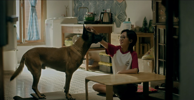 Nhân vật đặc biệt chú chó Coddy trong phim Đồng hồ đếm ngược của Thanh Sơn - Ảnh 2. Nhân vật đặc biệt chú chó Coddy trong phim Đồng hồ đếm ngược của Thanh Sơn - Ảnh 2.