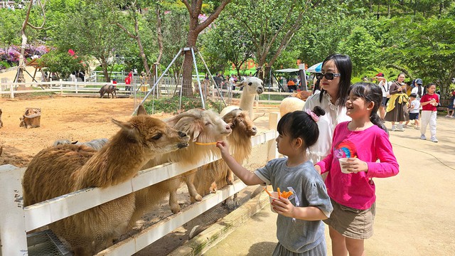 Nơi mùa xuân chạm vào từng giác quan- Ảnh 5. Nơi mùa xuân chạm vào từng giác quan- Ảnh 5.