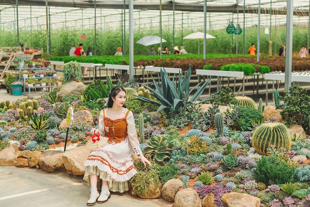 Nơi mùa xuân chạm vào từng giác quan- Ảnh 7. Nơi mùa xuân chạm vào từng giác quan- Ảnh 7.