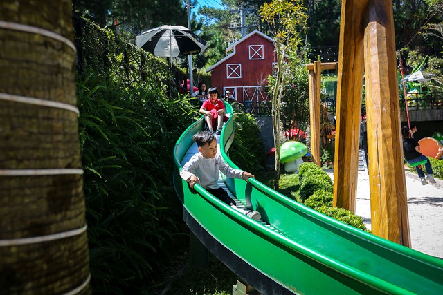 Điểm hẹn m&ugrave;a xu&acirc;n giữa l&ograve;ng phố n&uacute;i- Ảnh 10.